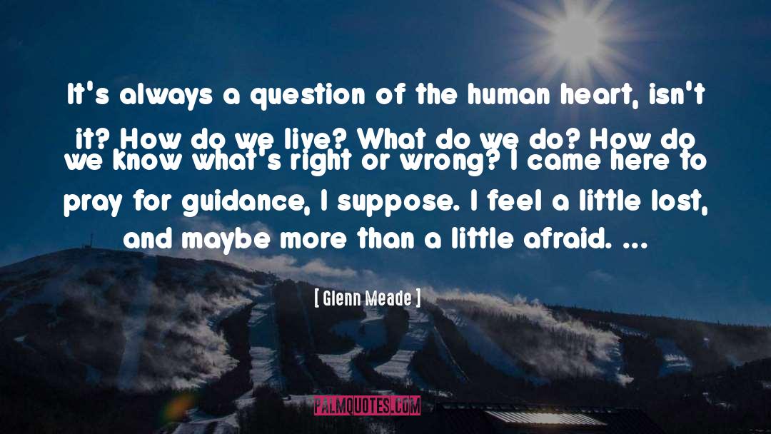 Human Heart quotes by Glenn Meade