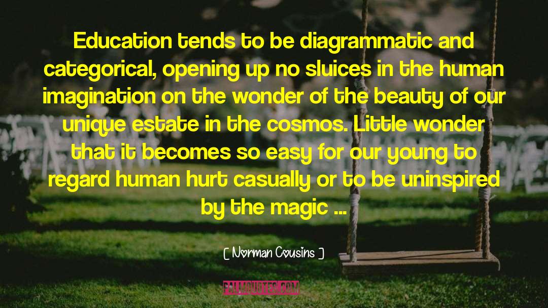 Human Imagination quotes by Norman Cousins