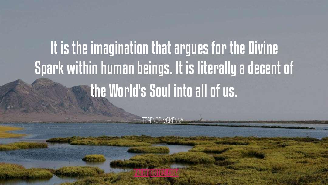 Human Imagination quotes by Terence McKenna