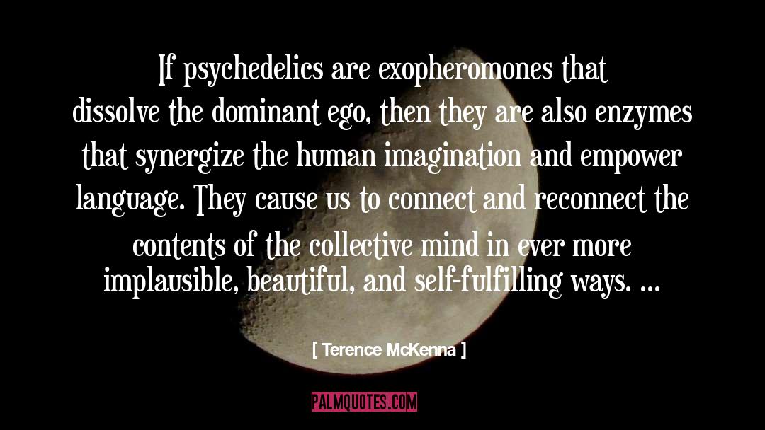 Human Imagination quotes by Terence McKenna