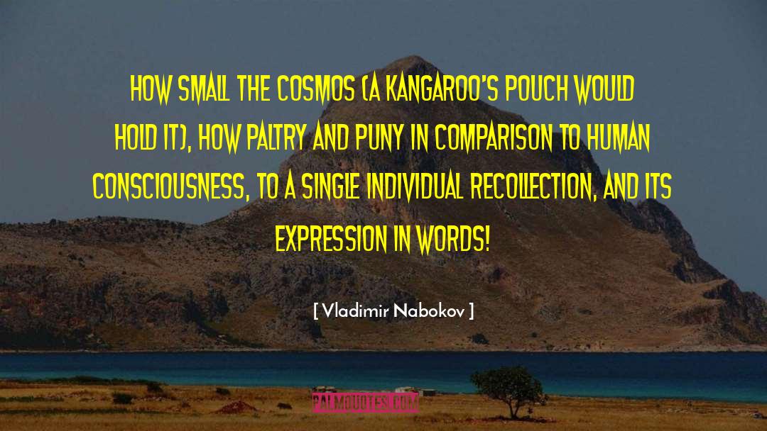 Human Insignificance quotes by Vladimir Nabokov