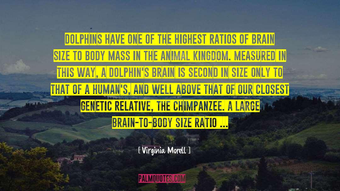 Human Intelligence quotes by Virginia Morell