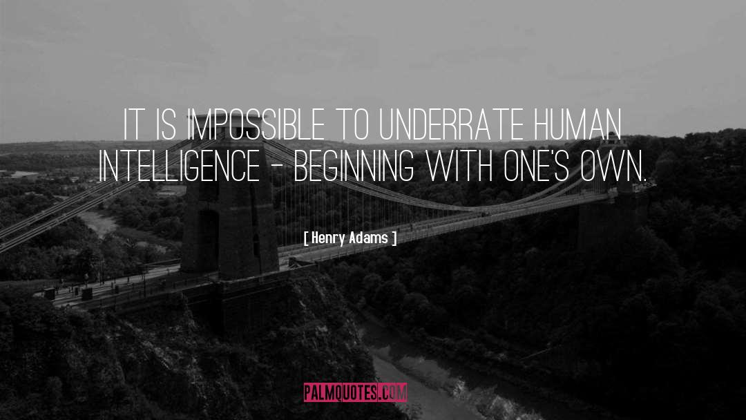 Human Intelligence quotes by Henry Adams