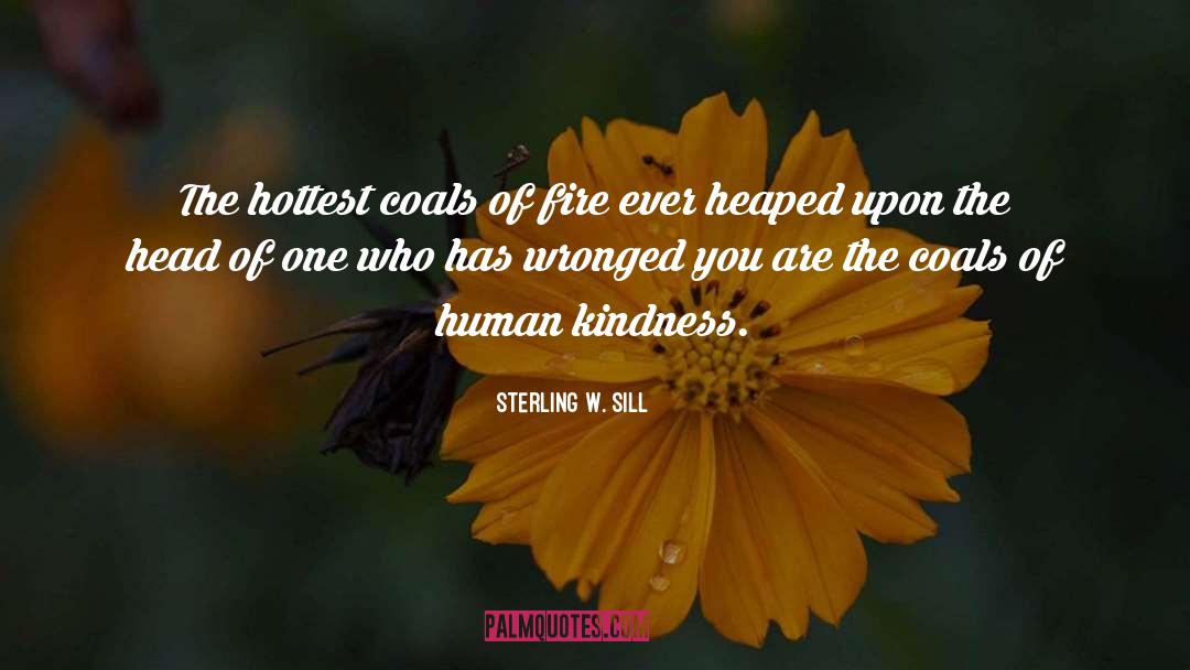 Human Kindness quotes by Sterling W. Sill