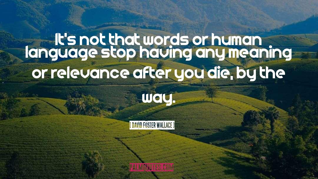 Human Language quotes by David Foster Wallace