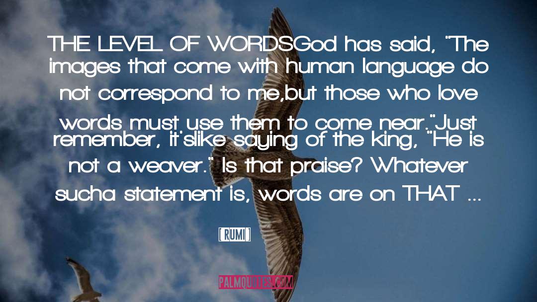 Human Language quotes by Rumi