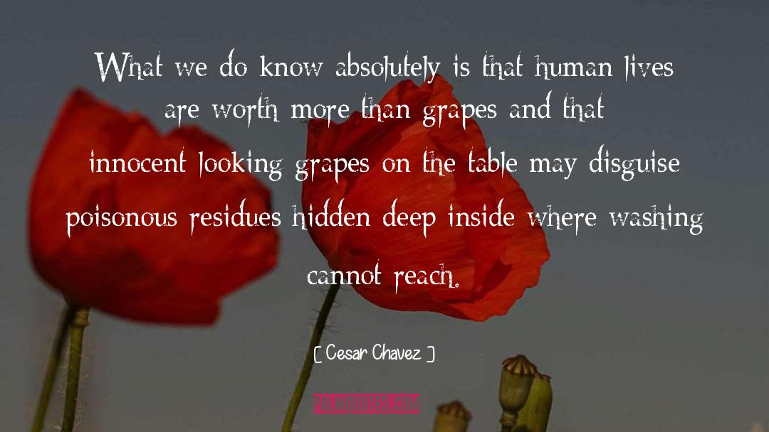 Human Lives quotes by Cesar Chavez