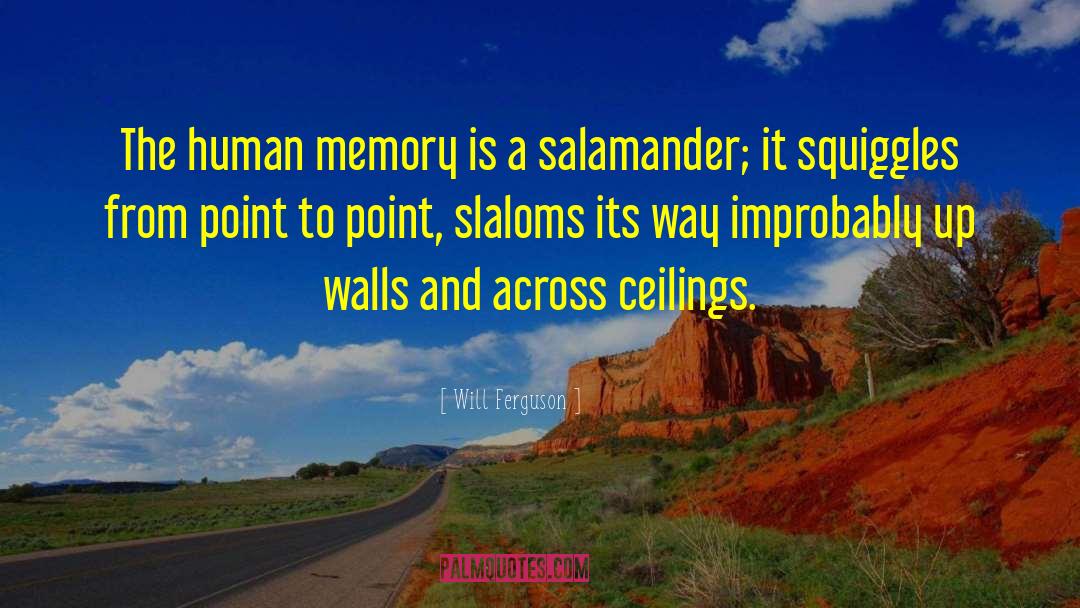 Human Memory quotes by Will Ferguson