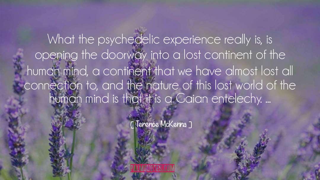 Human Mind quotes by Terence McKenna