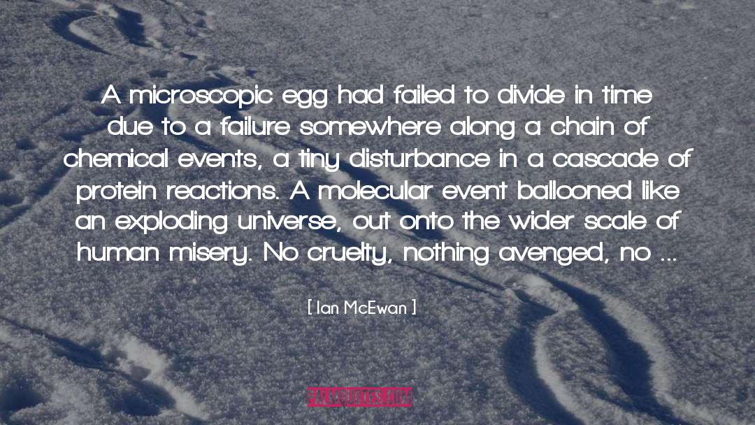 Human Misery quotes by Ian McEwan