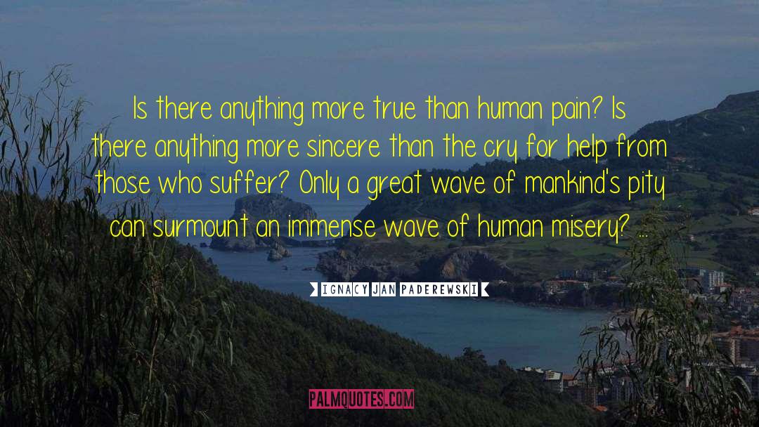 Human Misery quotes by Ignacy Jan Paderewski