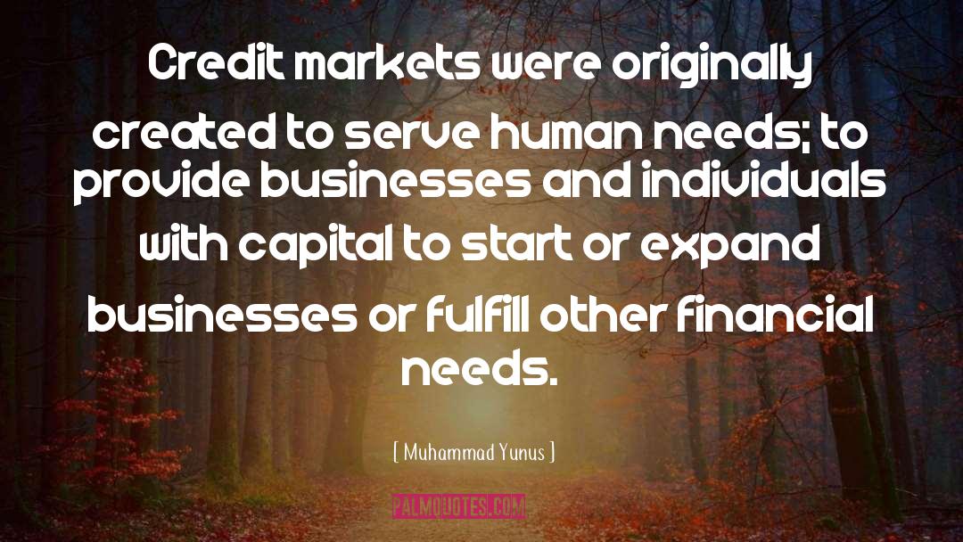 Human Needs quotes by Muhammad Yunus