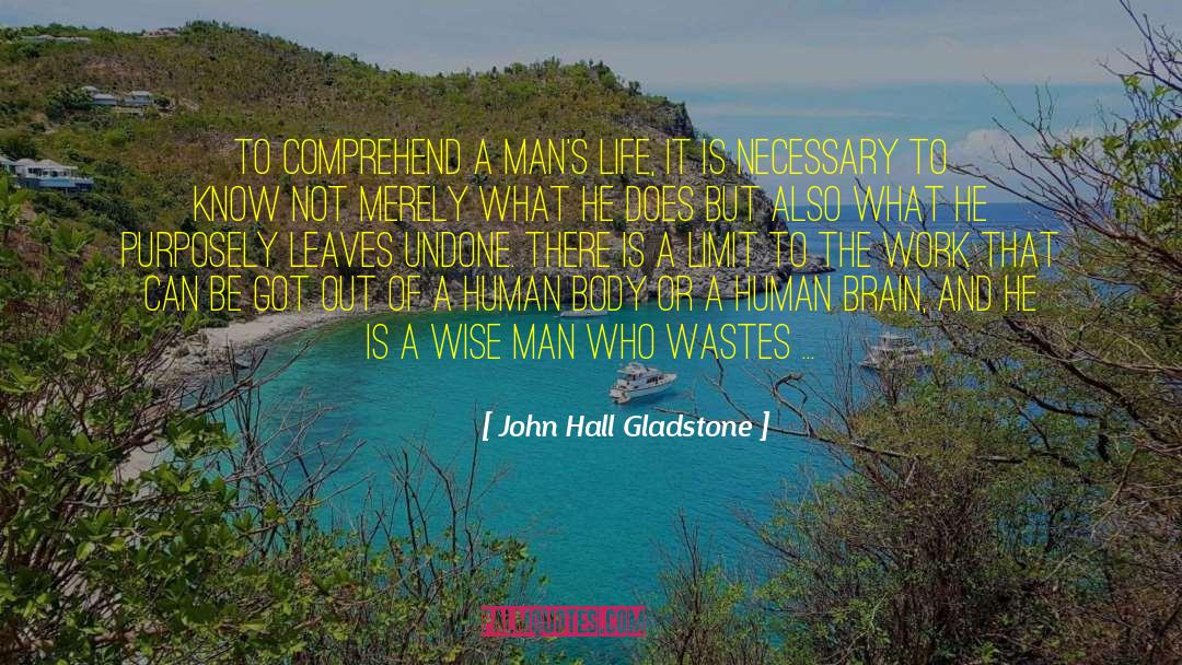 Human Of Life quotes by John Hall Gladstone