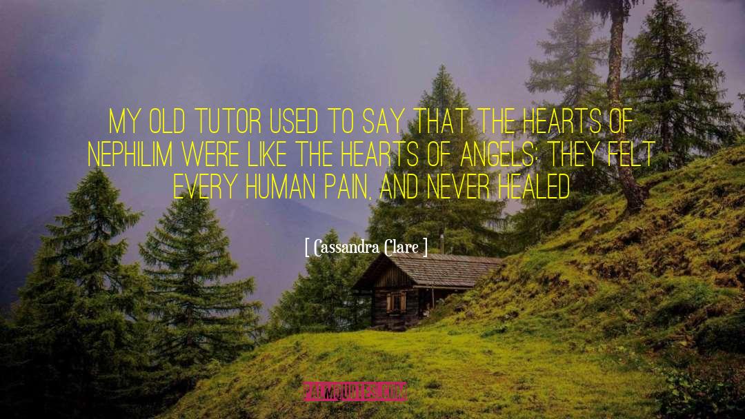 Human Pain quotes by Cassandra Clare