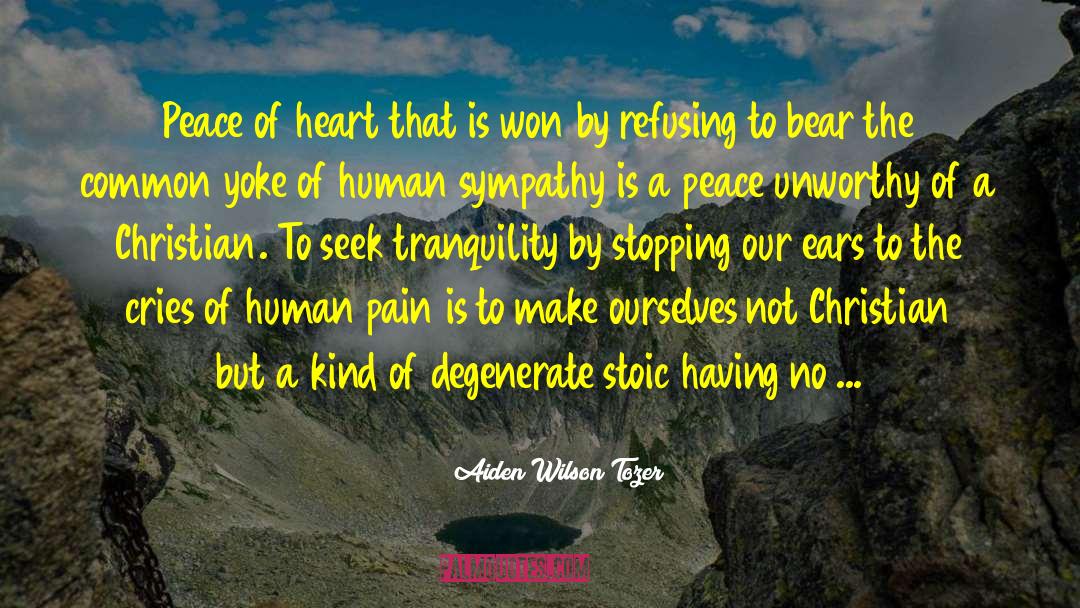 Human Pain quotes by Aiden Wilson Tozer