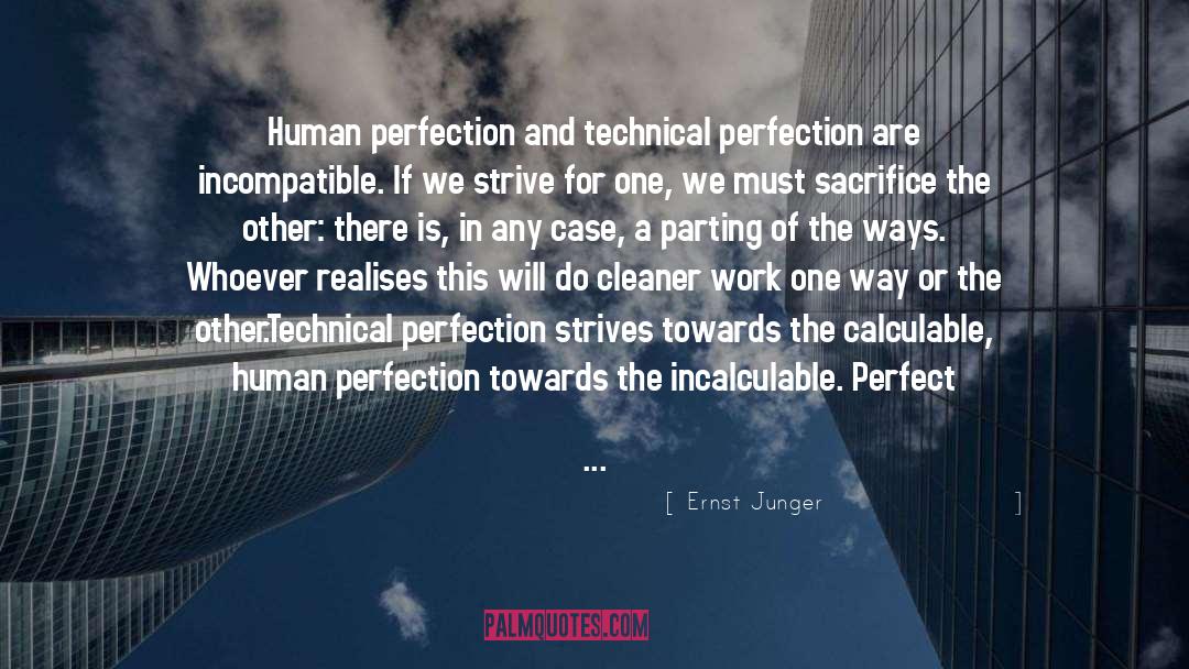Human Perfection quotes by Ernst Junger