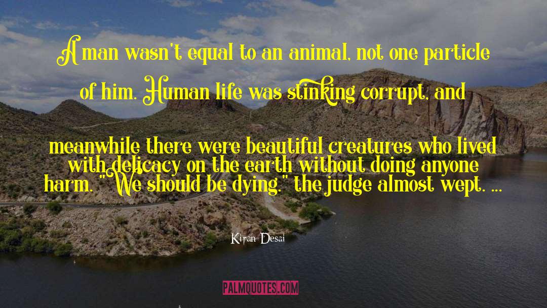 Human Perfection quotes by Kiran Desai