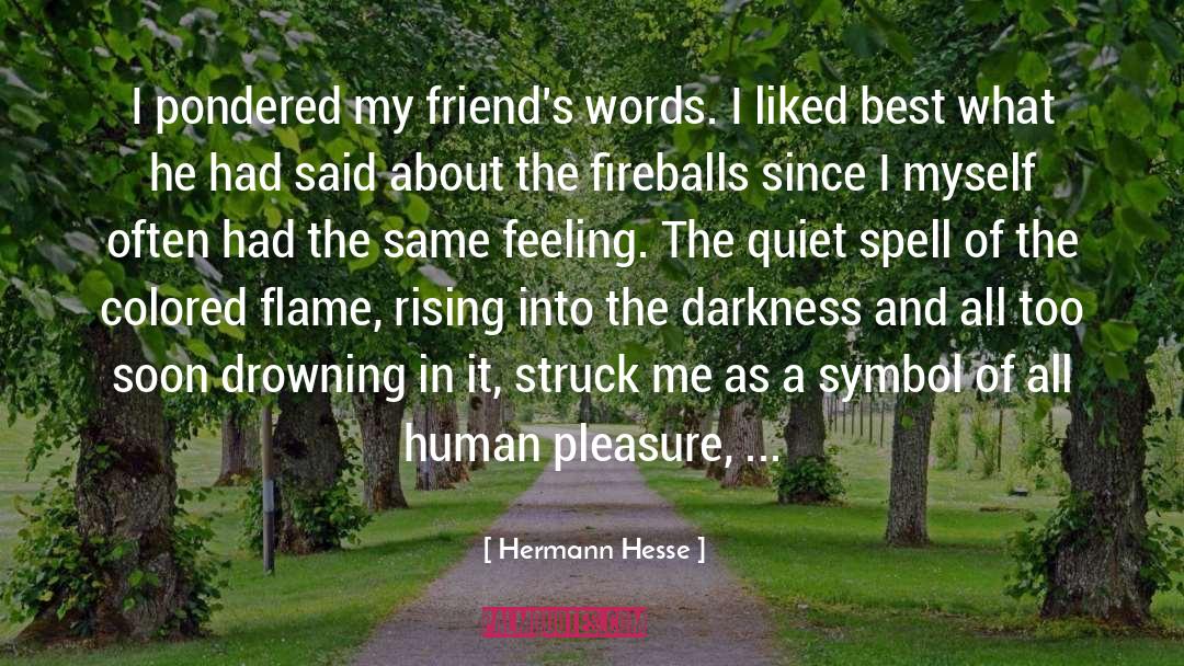 Human Pleasure quotes by Hermann Hesse