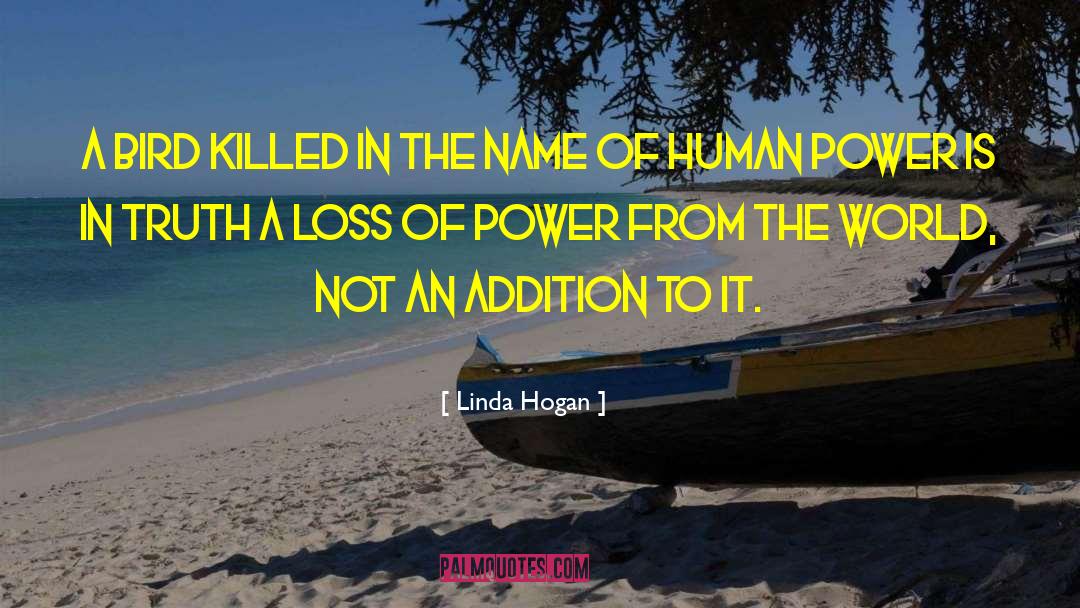 Human Power quotes by Linda Hogan