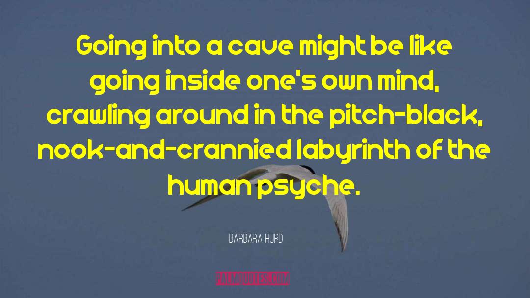 Human Psyche quotes by Barbara Hurd