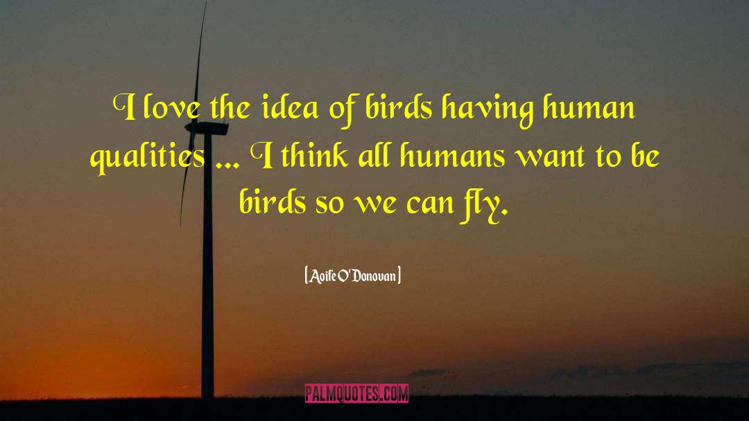 Human Qualities quotes by Aoife O'Donovan