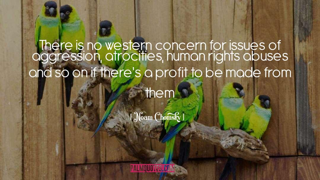 Human Rights Abuses quotes by Noam Chomsky