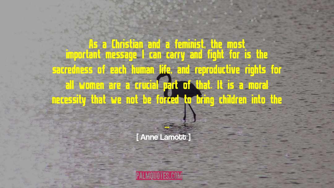 Human Rights Day quotes by Anne Lamott