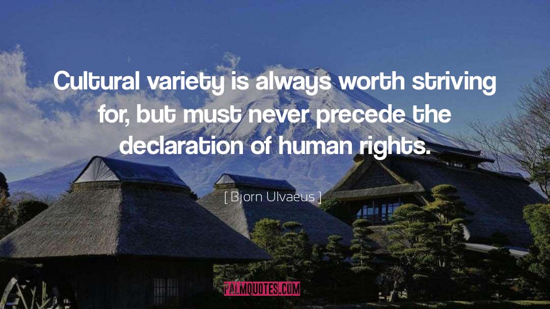 Human Rights Organisation quotes by Bjorn Ulvaeus