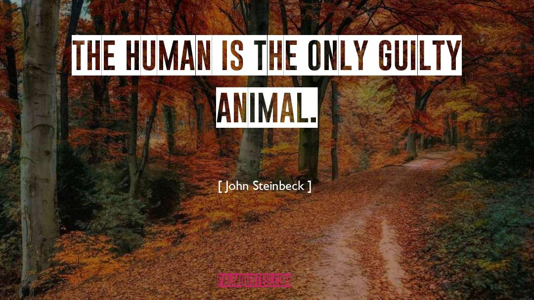 Human Scale quotes by John Steinbeck