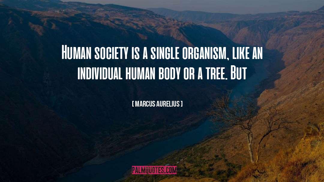 Human Society quotes by Marcus Aurelius