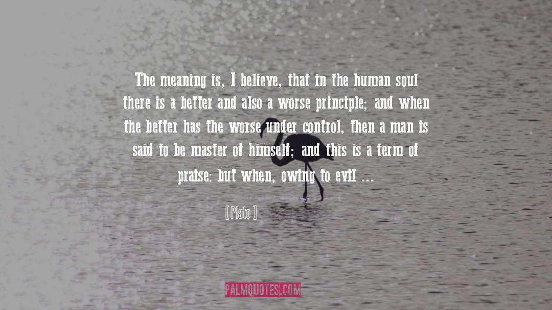 Human Soul quotes by Plato