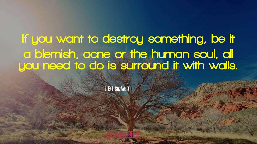 Human Soul quotes by Elif Shafak