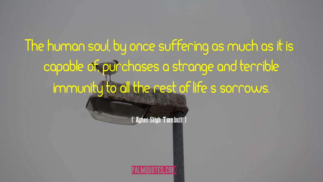 Human Soul quotes by Agnes Sligh Turnbull