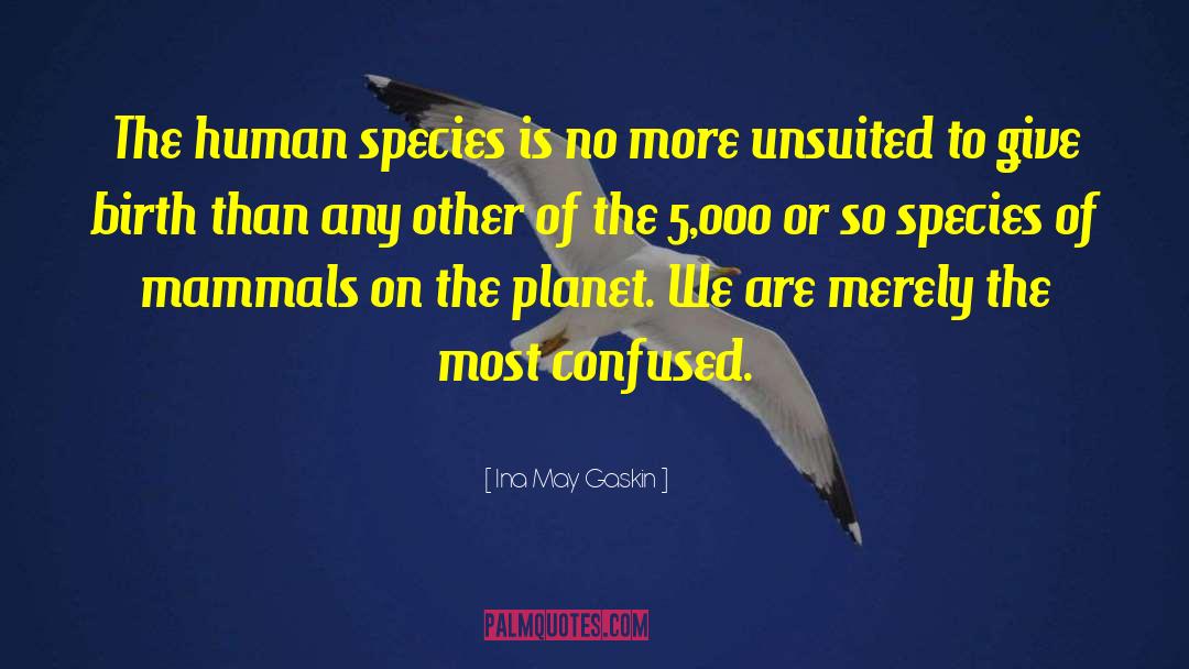 Human Species quotes by Ina May Gaskin