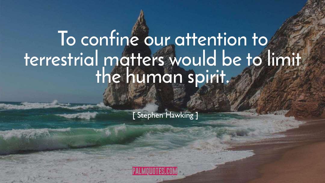 Human Spirit quotes by Stephen Hawking