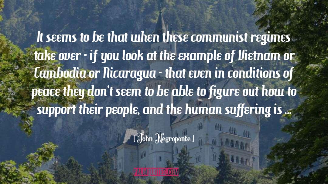 Human Suffering quotes by John Negroponte