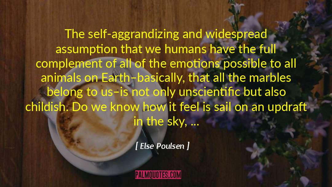 Human Understanding quotes by Else Poulsen