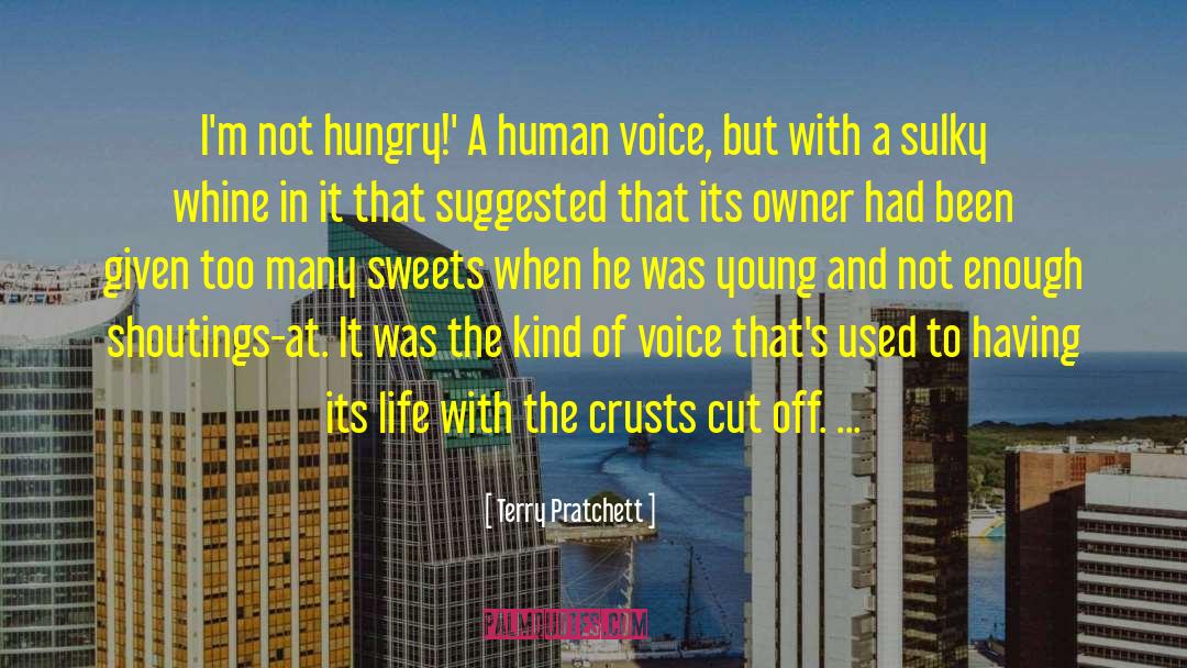 Human Voice quotes by Terry Pratchett
