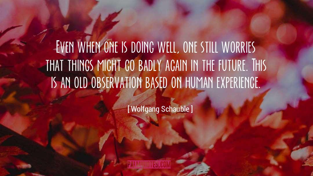 Human Well Being quotes by Wolfgang Schauble
