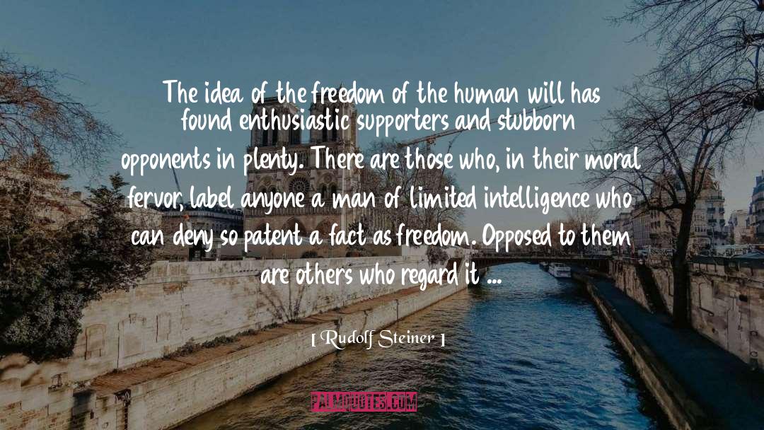 Human Will quotes by Rudolf Steiner