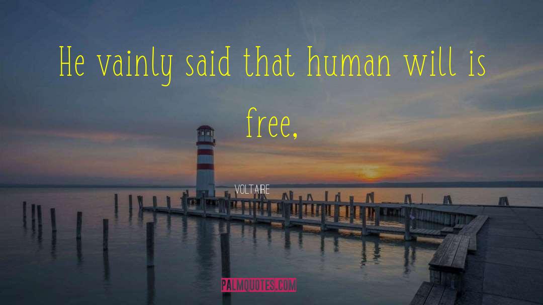 Human Will quotes by Voltaire