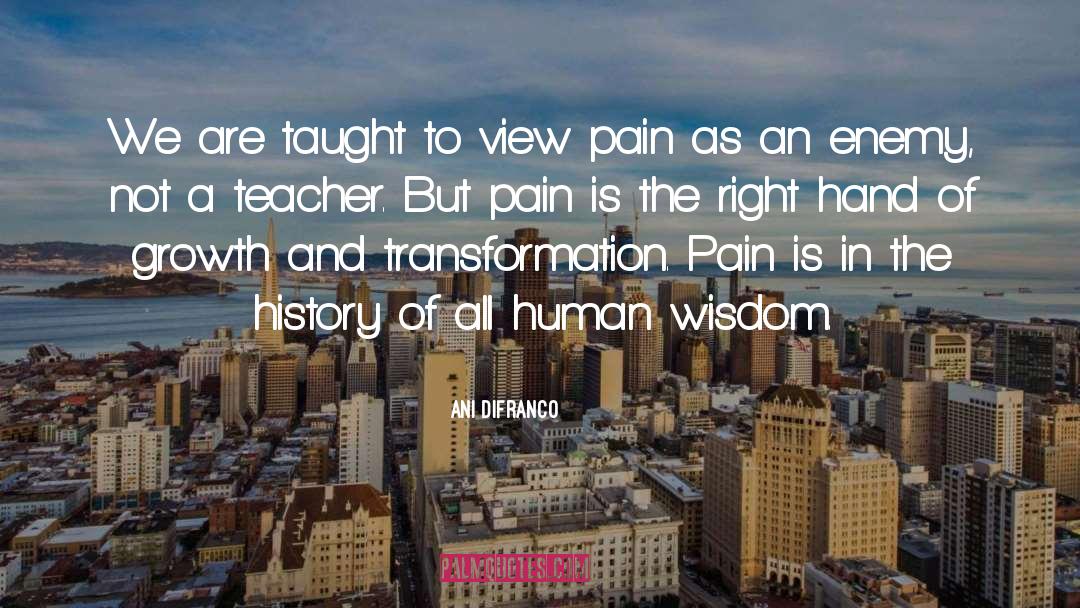 Human Wisdom quotes by Ani DiFranco