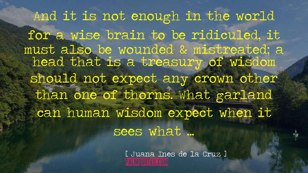 Human Wisdom quotes by Juana Ines De La Cruz