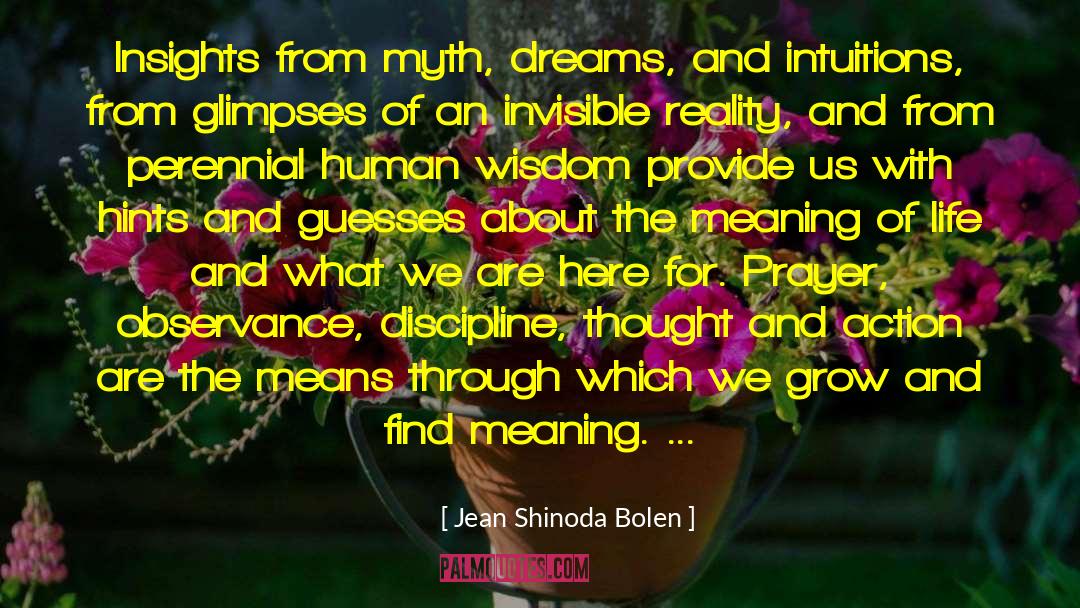 Human Wisdom quotes by Jean Shinoda Bolen