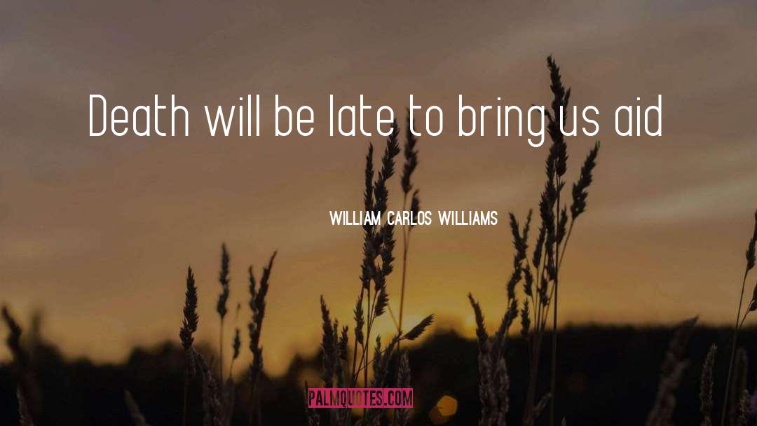 Humanitarian Aid quotes by William Carlos Williams