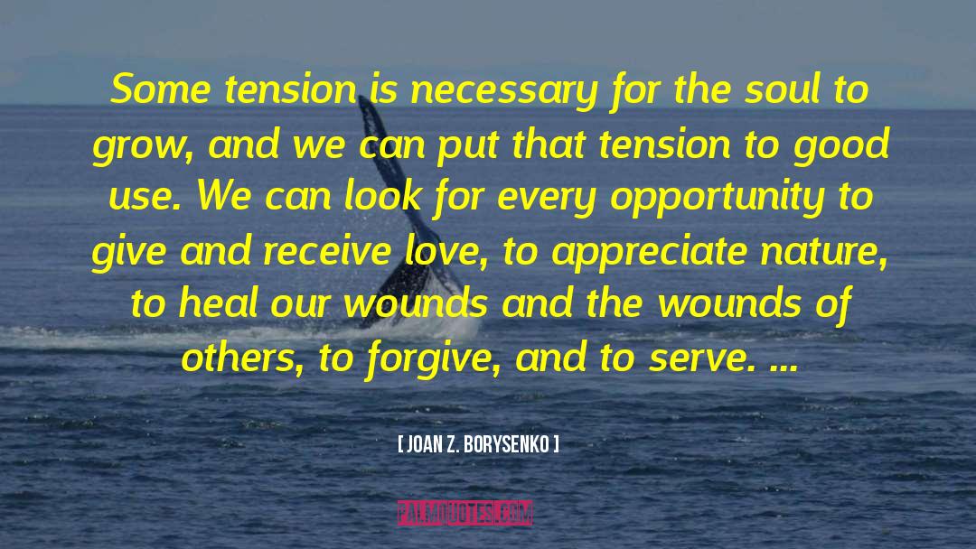 Humanity And Love quotes by Joan Z. Borysenko