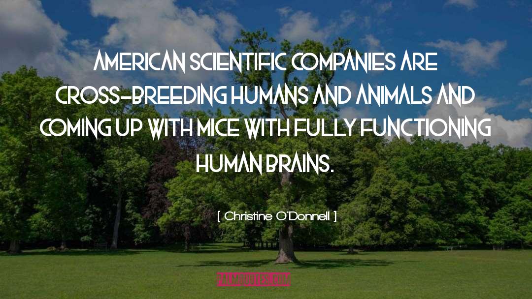 Humans And Animals quotes by Christine O'Donnell