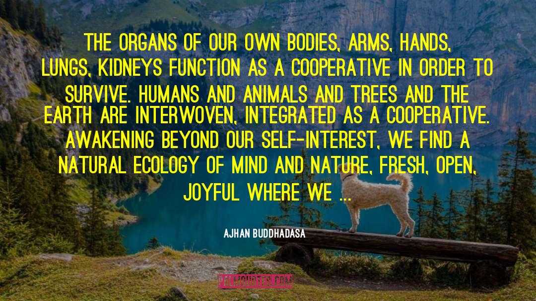 Humans And Animals quotes by Ajhan Buddhadasa