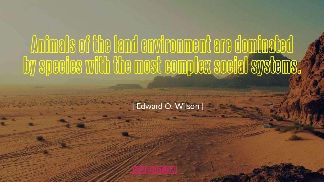 Humans Are Social Animals quotes by Edward O. Wilson