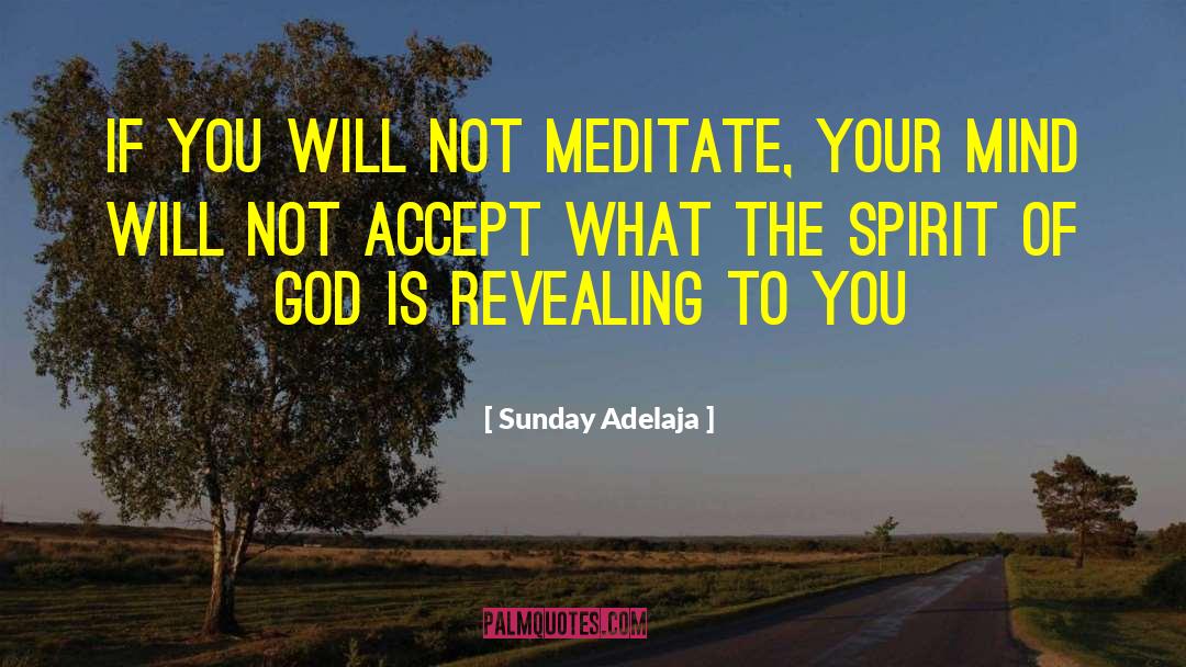 Humble Spirit quotes by Sunday Adelaja